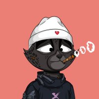 Than0s (@solthan0s) 's Twitter Profile