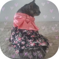 Princess Ran♡蘭姫 (@strawberryran5) 's Twitter Profile