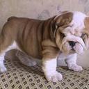 Deborah Sciortino - @dafne873 - Twitter