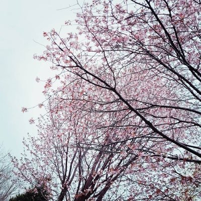 はるきさんのプロフィール画像