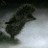 dozabovyl's profile image