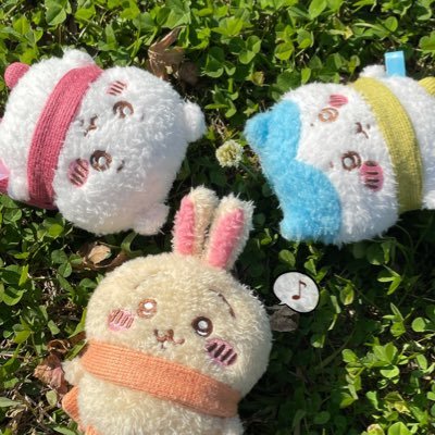 ちいかわ専用アカウント💫トリオ大好きなうさぎ寄りの箱推し🐰💞撮り貯めたぬい撮りと購入品の記録がメイン。マイペースに楽しくちい活！フォローリムブロご自由に。無言フォロー失礼します🙇‍♀️転載禁止⚠️