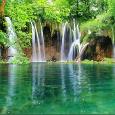 eramorola's profile picture. 