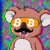 Cryptokoala_Aus