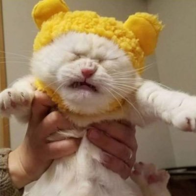 냥나さんのプロフィール画像