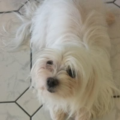 KasiaRunte's profile picture. 