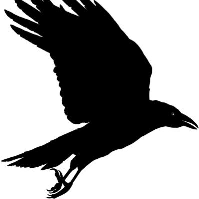 TweetsByRaven's profile picture. Monero for Life