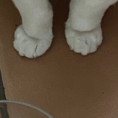 .さんのプロフィール画像