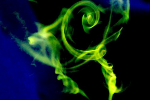 tamalewizard's profile picture. Daily pursuit of succulency and other-worldly flavors