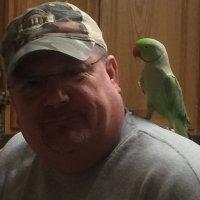 Kenny (@scrath73) 's Twitter Profile