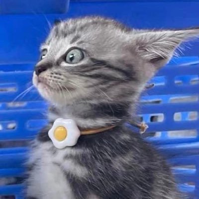 forfah_'s profile picture. •- I’m nurse -•