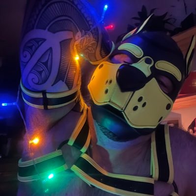 “Cause you're filthy, and I'm gorgeous”. Bear Play, Dog, Pup & Pig Play, Pop Culture, Pups and Fuzzy Wuzzy Bears 🐻🐶🐽⛓🧶🖤 💛🐾