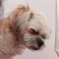 。*゚+ (@nickuckie) 's Twitter Profile