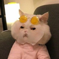 michelle (@_ojoi) 's Twitter Profile