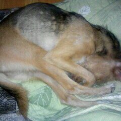 kht0788's profile picture. 