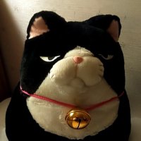 イトウ志木 (@captainpsy) 's Twitter Profile