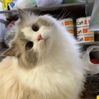 πΌπ» (@sukisukiah) 's Twitter Profile