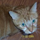 Patrick Swan - @swammy1979 - Twitter