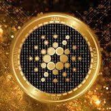 marcel_hy20's profile picture. Cardano is the way😌