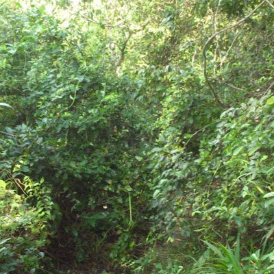 wgwc_w's profile picture. 