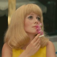 City of Stars ✨ (@hyzenthlayrose) 's Twitter Profile Photo