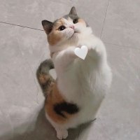 rara (@nonaarar) 's Twitter Profile