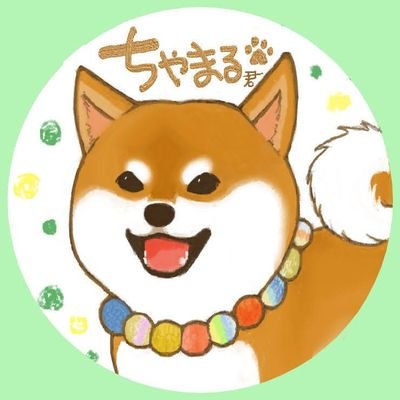 茶丸(ちゃまる) 2014.12/7生まれ10才の男の子です🐶
繊細でビビり、白まろ眉がチャームポイント🥰💕💕

無言フォロー失礼します🙇‍♀️