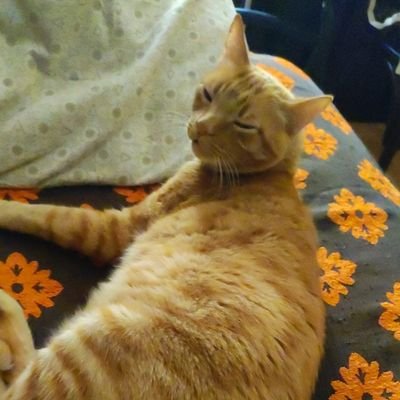 proactor456's profile picture. 