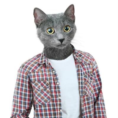 Adachiさんのプロフィール画像