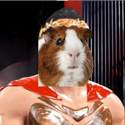 Legatus on Command of Rome's Legions | Prepare for war, since you have been unable to endure a peace | Ally of Guinea Pig JTC | #NAFO 🤙 #OFAN and 🤙 #Fellas