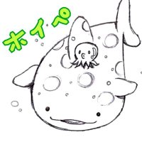 ホイペ🍏(@hirotaka6412) 's Twitter Profile Photo