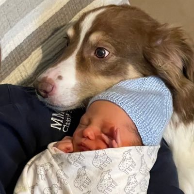 CappadociaJoe's profile picture. Teacher at Cathedral High School in Hamilton, Ontario.