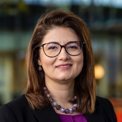 Full Professor @TUeindhoven | Director of Research, CNRS | Visiting Fellow @WolfsonCam. Project Coord. @EU_NEURONN and @EU_PHASTRAC. Quantum computing,