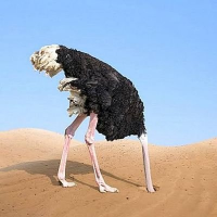 駄ちょう (@th39f) 's Twitter Profile Photo