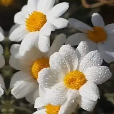 rbntz2's profile picture. أستغفَرٍ آلُلُہ ۆ أتۆب إلُيَہ ..!