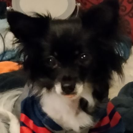 GrannyTam10's profile picture. ♥