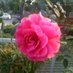 Anju Maurya (@anjumau65992858) Twitter profile photo Anju Maurya (@anjumau65992858) Twitter profile photo