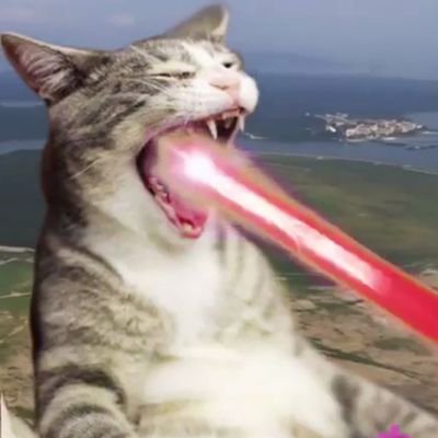 Ksu47471107's profile picture. 