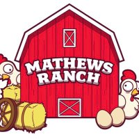๐ณ โพ๏ธ Mathews Ranch ๐๐ฅ (Steve Mathews) (@steveinec) 's Twitter Profile