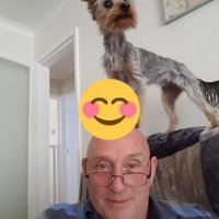 Kevin Shand (@shandkevin) 's Twitter Profile