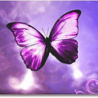 🦋💜😼🏳️‍🌈🏳️‍⚧️⚧️Pat'sChild⚧️🏳️‍⚧️🏳️‍🌈😼💜🦋 (@outspokenone03) 's Twitter Profile