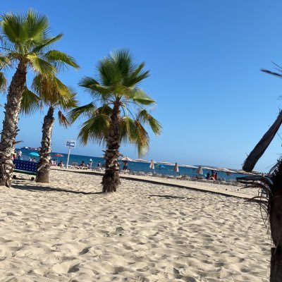 Mon20126884's profile picture. 