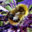 leonieramondt's profile image