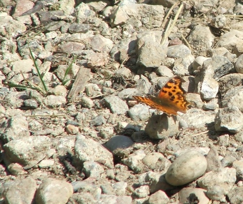 renee_67's profile picture. 