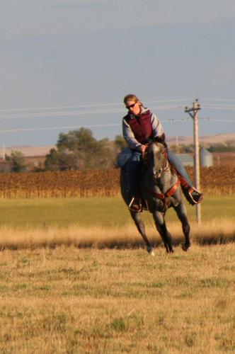 MrsHolzer's profile picture. Living the dream....