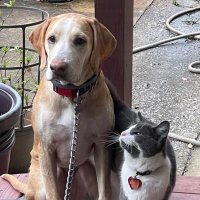 Penny and Mr Sprinkles Mom(@TurdMother) 's Twitter Profile Photo