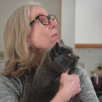 Gigasquid (@gigasquid) 's Twitter Profile Photo