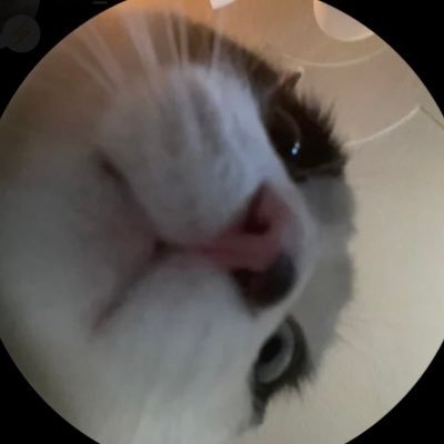 riparlin's profile picture. 