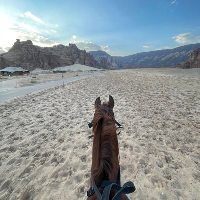 mehafAlSughair's profile picture. #جدتي يا قطعه من قلبي ، رحم الله وجهك السعيد بحياتي واسعدك الله في قبرك ، واكرم حياتي بحسن الختام يالله وادع لي على الارض حسن الاثر ✨