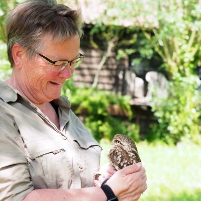 genieten v natuur; 🦦🦫🦡🐾🐿🦋🪲🪰🐞🐝🦉🦅🦆🌿☀️☘️🍀🌸🌼🍄 📷natuurbeleving ➡️ https://t.co/geSMpWyxT5 insta➡️ria5984